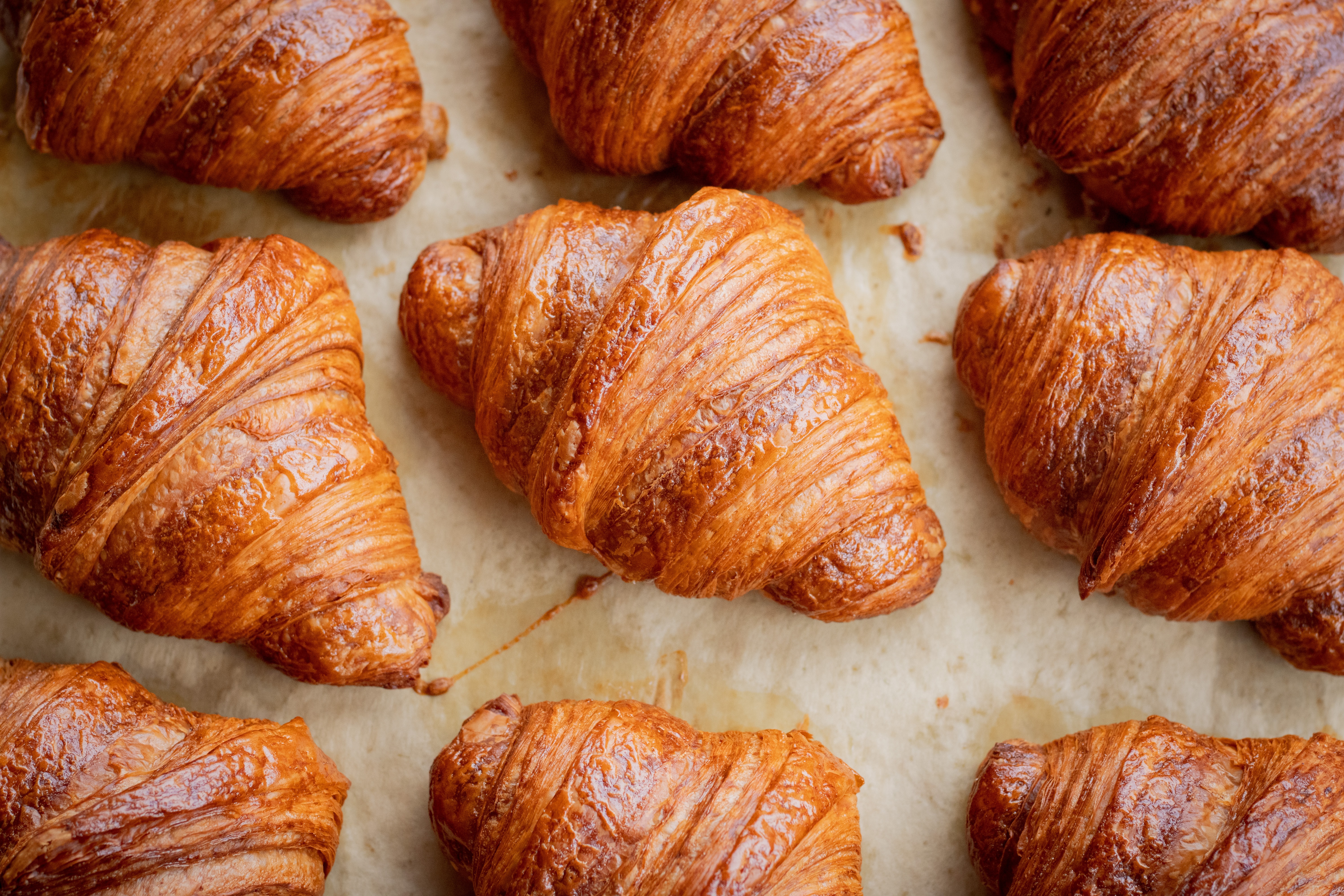 Freshly Baked Croissants